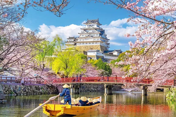 SEO-Content_LP_Japan_02