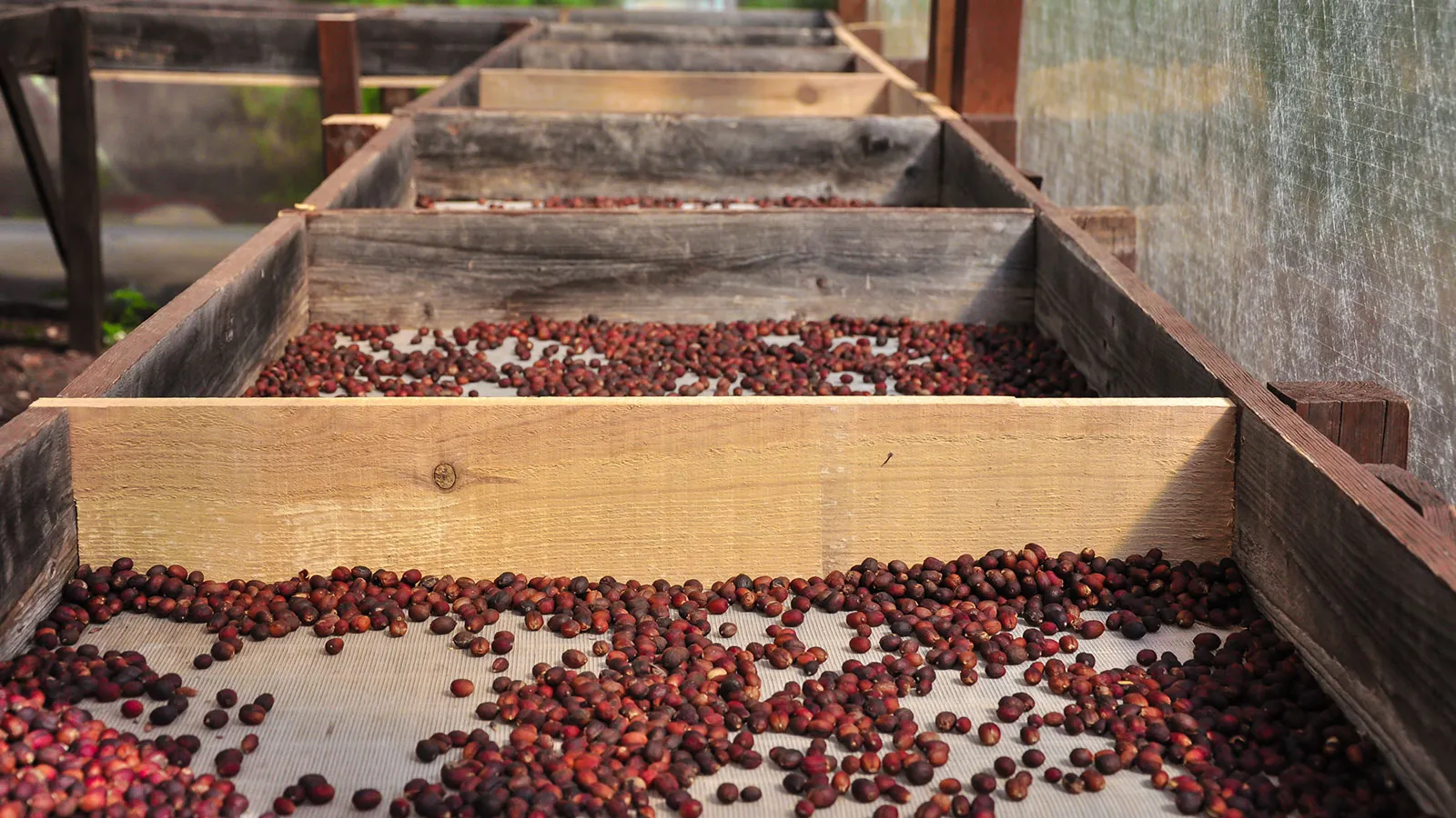 Kaffee aus Gran Canaria