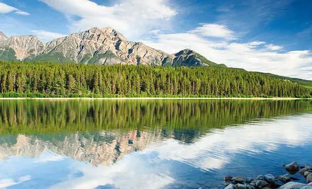 SEO-Content_LP_Content_Kanada_01