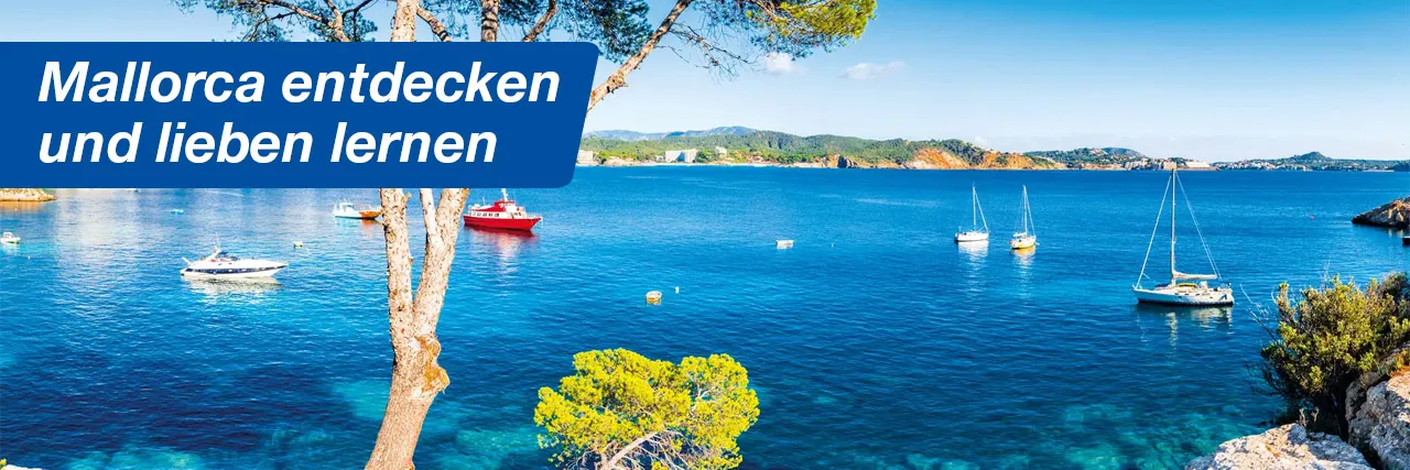 SEO-Content_LP_Header_Mallorca