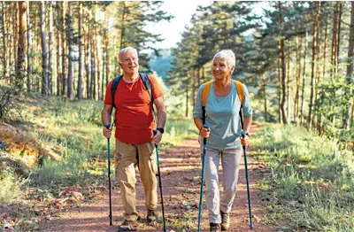 SEO_LP_Content_Mallorca_06