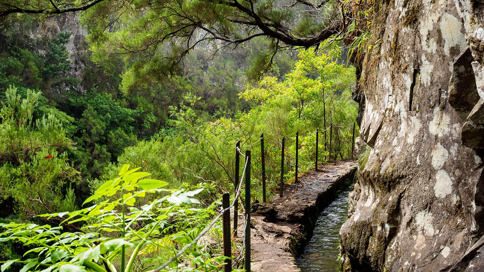Levadas die alten Wanderwege auf Madeira
