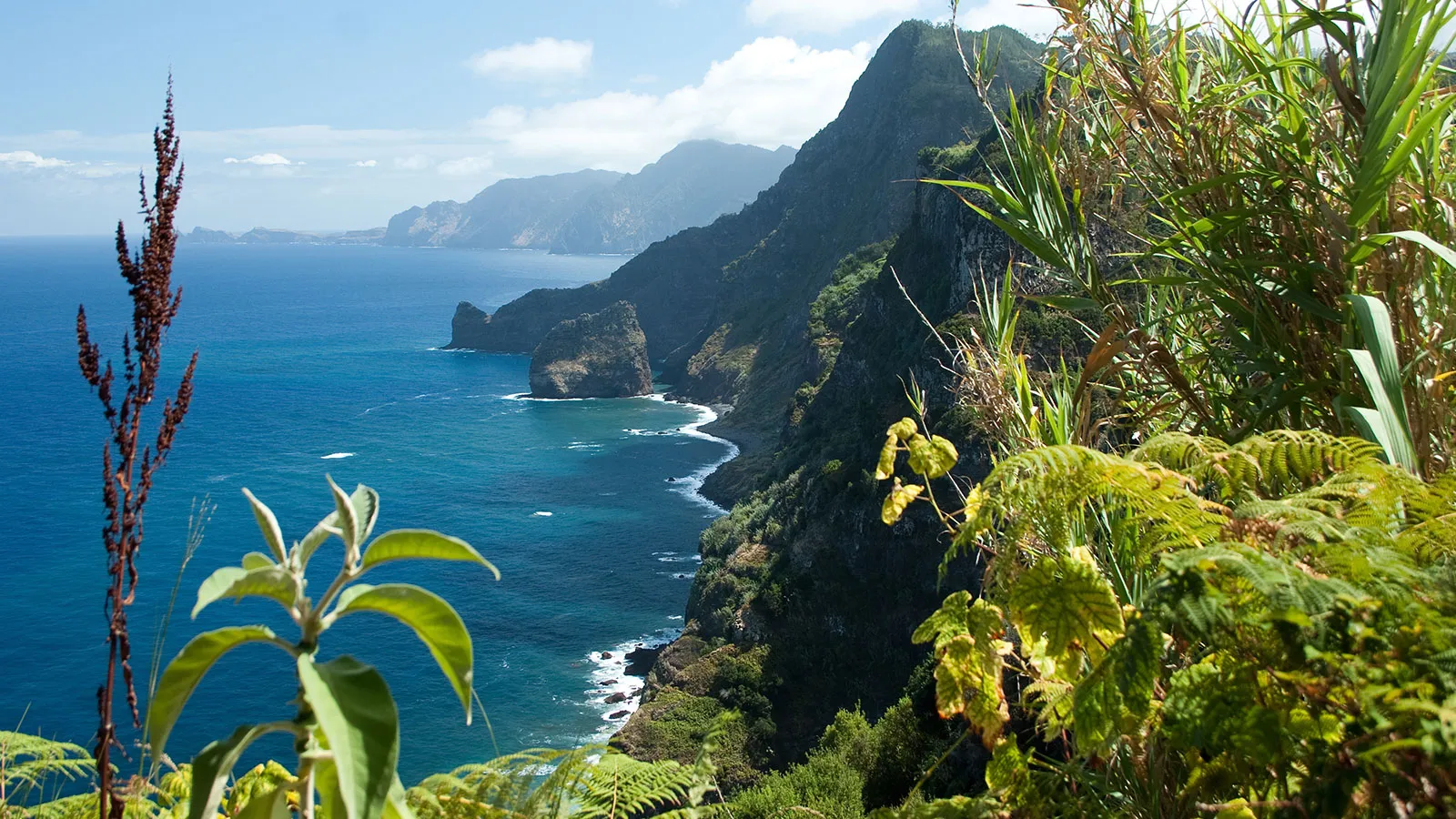 Diverse Natur auf Madeira