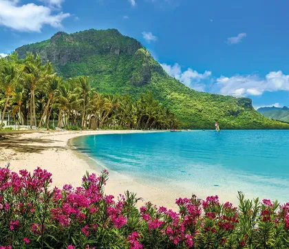 Fernreiseaktion_420x362px_ly01_Mauritius