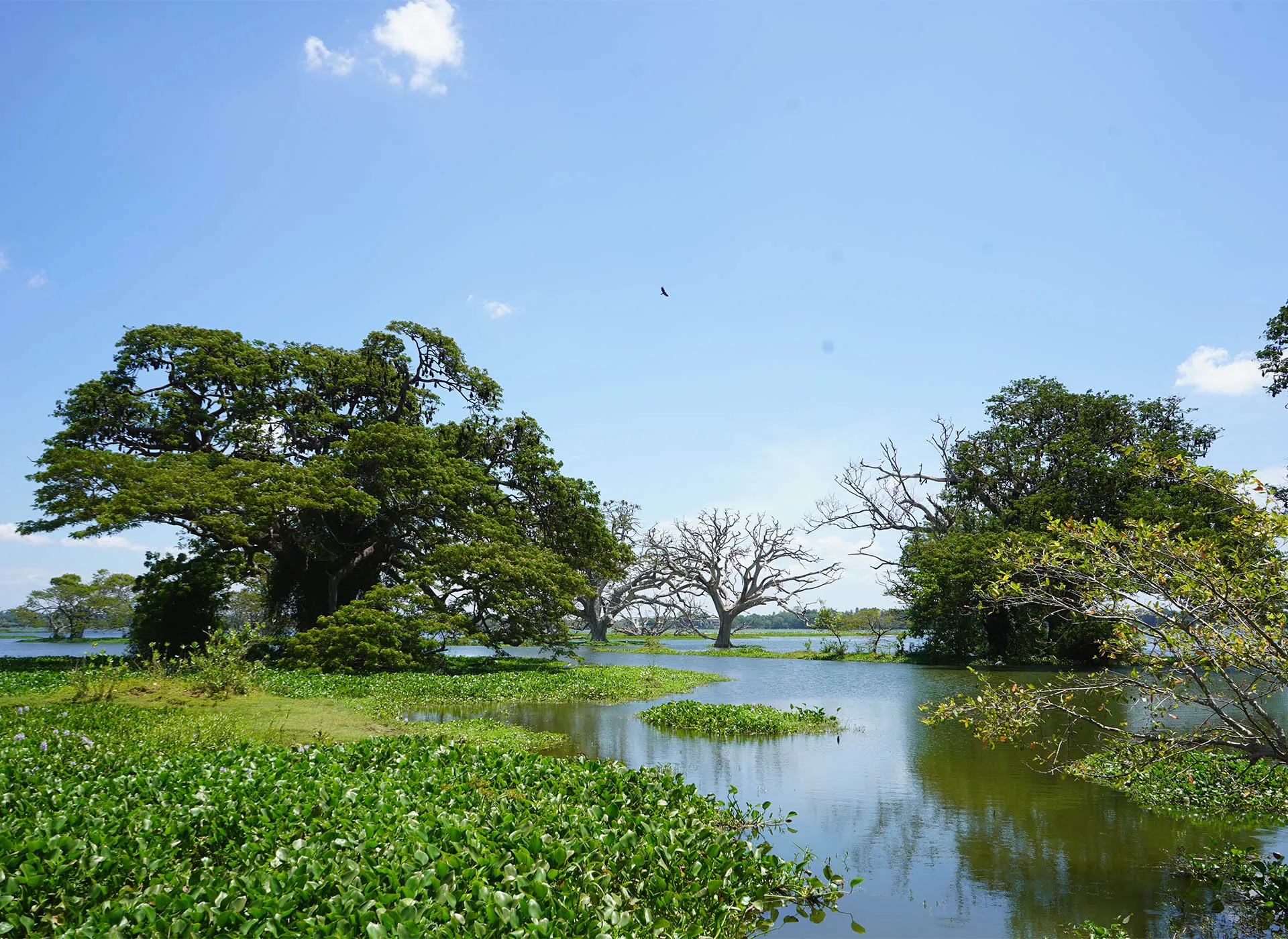 Dieser Reisebericht beschreibt die schöenen Erfahrungen mit trendtours