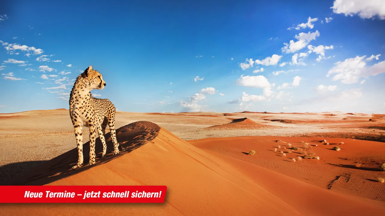 Flugreisen 2026 | trendtours