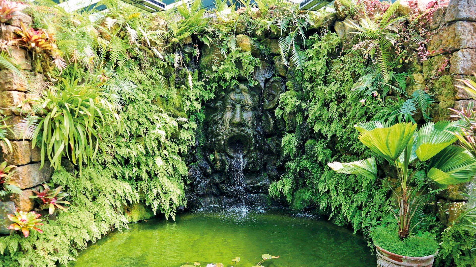 Ischia trendtours