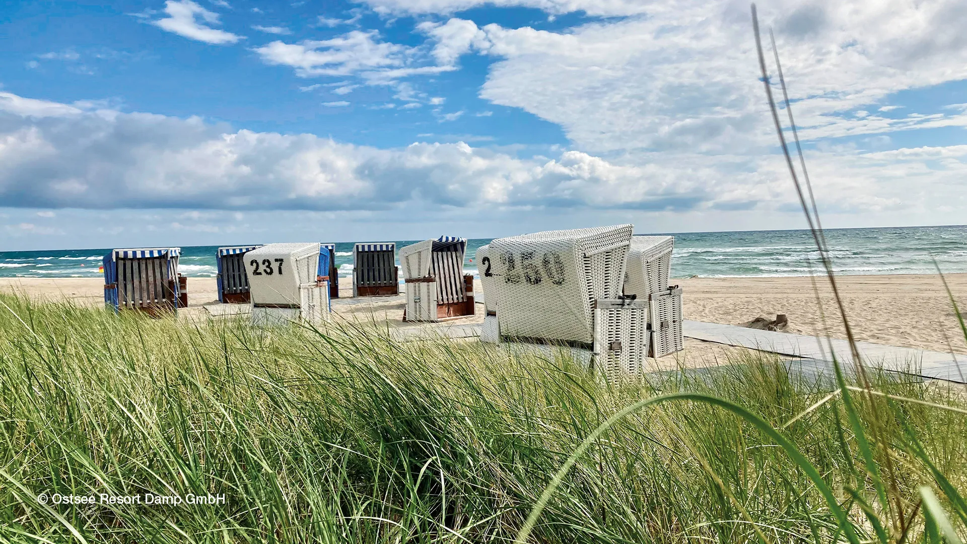Deutschlands Küstenparadiese | Busreise mit Hotel