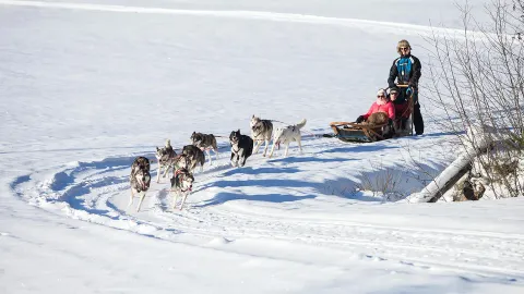 winterzauber-in-finnland