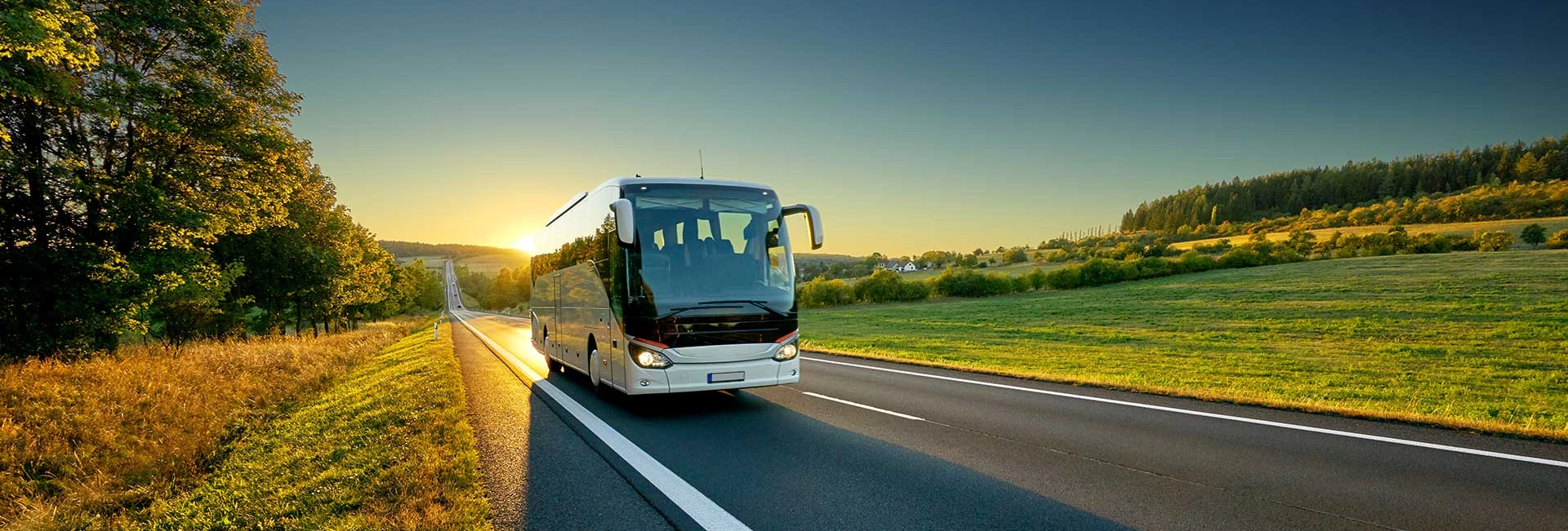 Busreisen trendtours