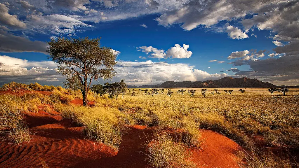 Reiseziel-Namibia