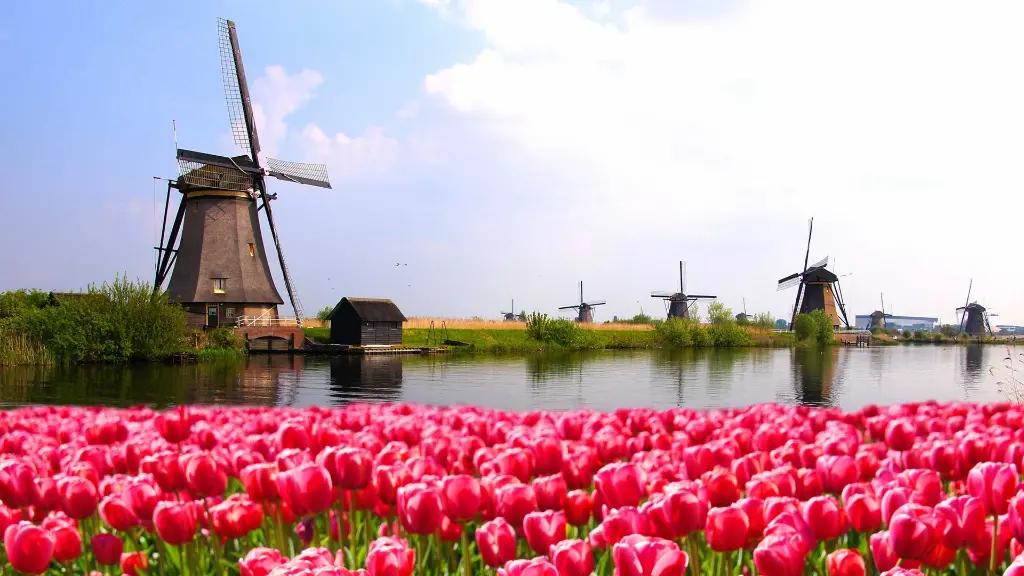 Reiseziel-Niederlande