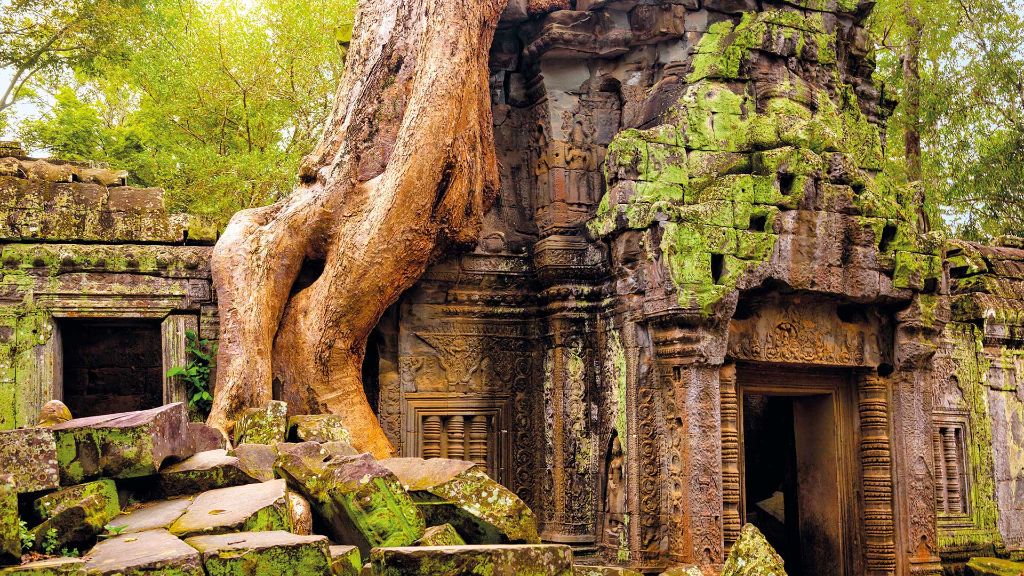 Vietnam und Kambodscha Antiker Ta Prohm Tempel