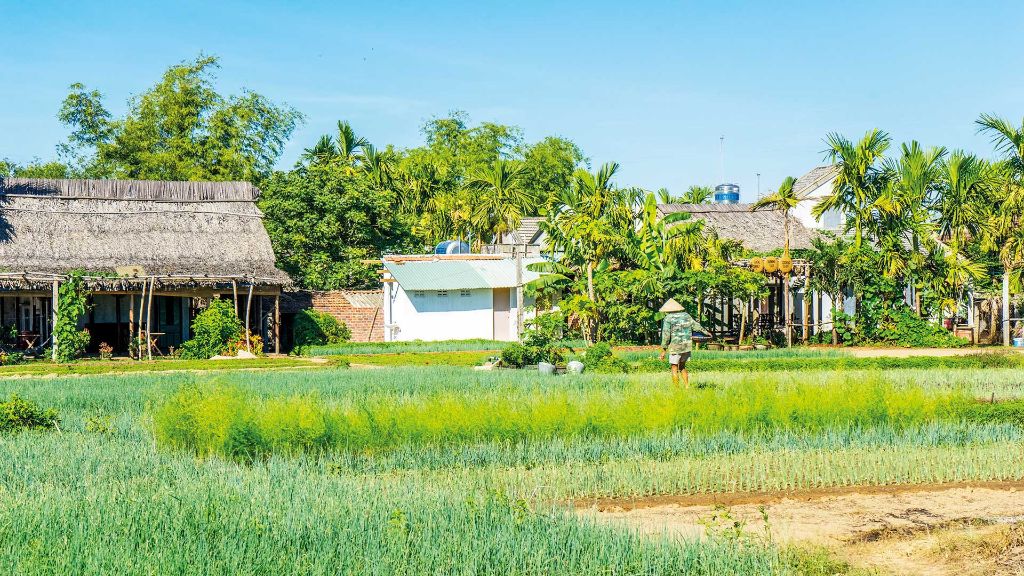 Vietnam und Kambodscha Tra Que Dorf nahe Hoi An