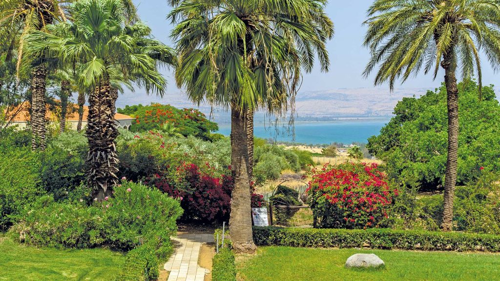 Israel  Israel für Entdecker - Blick auf den See Genezareth
