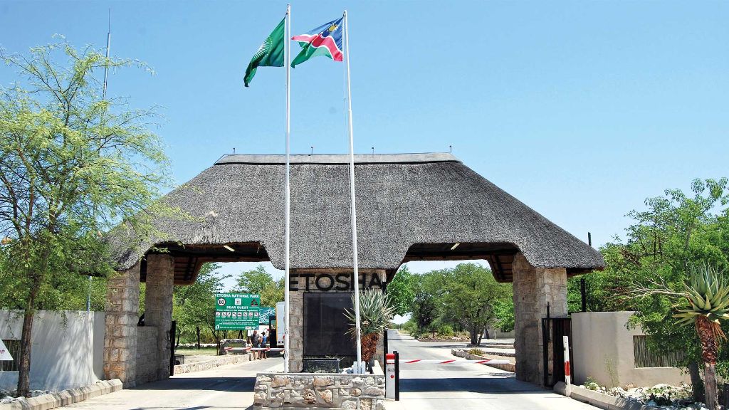 Afrika  Magisches Namibia - Willkommen im Etosha-Nationalpark