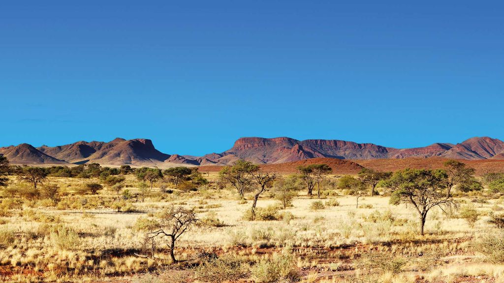 Afrika  Magisches Namibia - Kalahari-Wüste