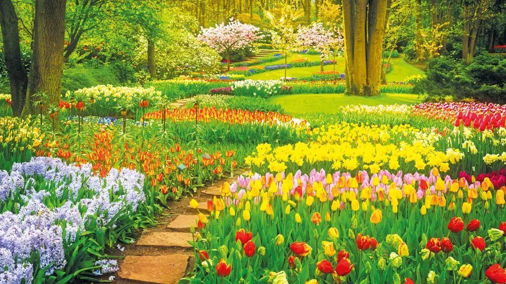 5339_A-ROSA-Tulpenblüte_Keukenhof_2