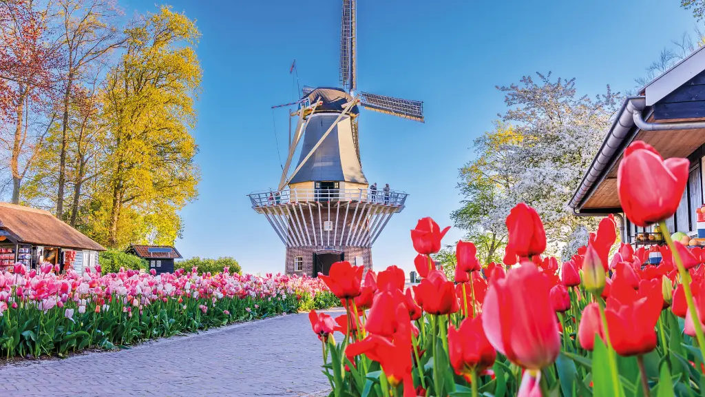 5339_A-ROSA-Tulpenblüte_Keukenhof_3_1