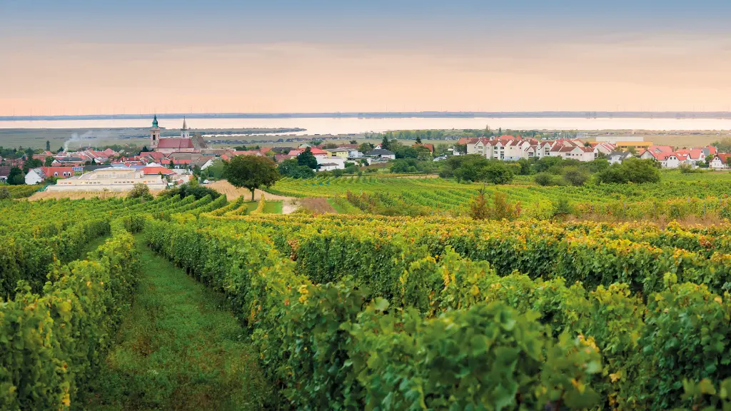 5328_Moerbisch_Content rust_burgenland