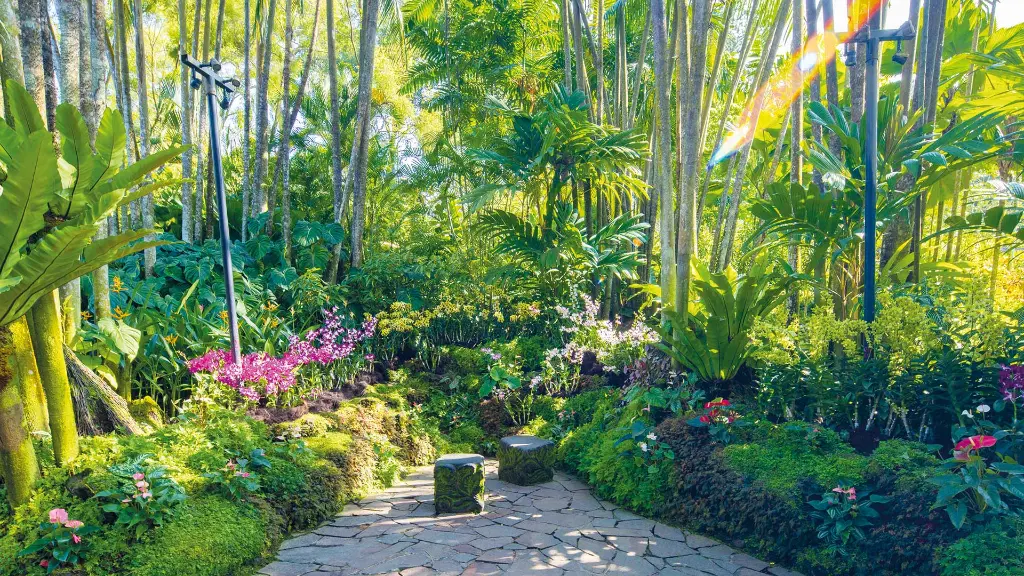 Malaysia & Singapur Botanischer Garten in Singapur