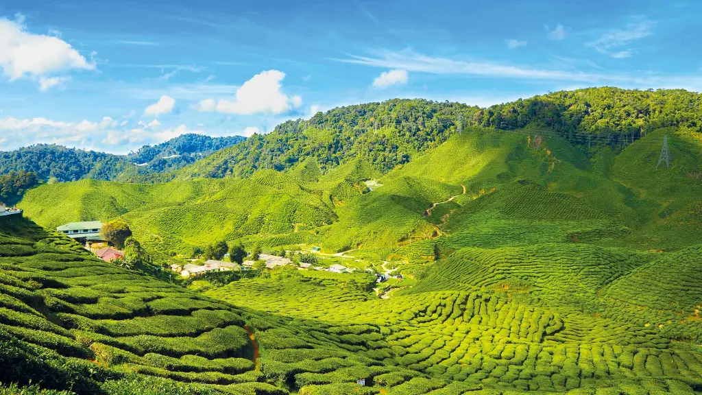 Malaysia & Singapur Cameron Highlands