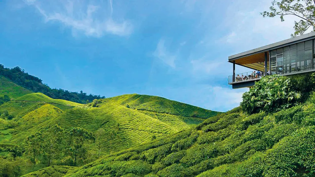 Malaysia & Singapur Restaurant mit Aussicht auf die Teeplantage