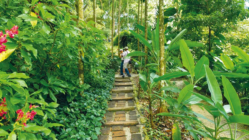 Malaysia & Singapur Tropischer Gewürzgarten, Penang