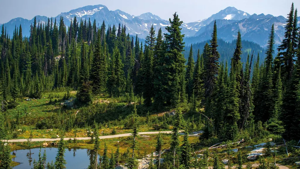 Faszination Westkanada und Alaska - Mount-Revelstoke-Nationalpark