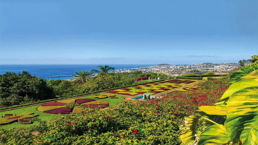 6045-48_Madeira_Botanischer_Garten