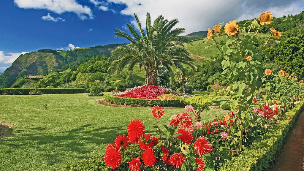 Azoren-Insel São Miguel Blumenstadt Nordeste