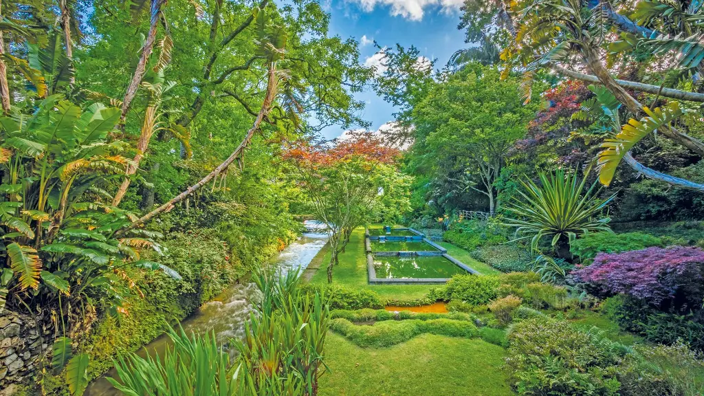 Azoren-Insel São Miguel Botanische -Garten Terra Nostra