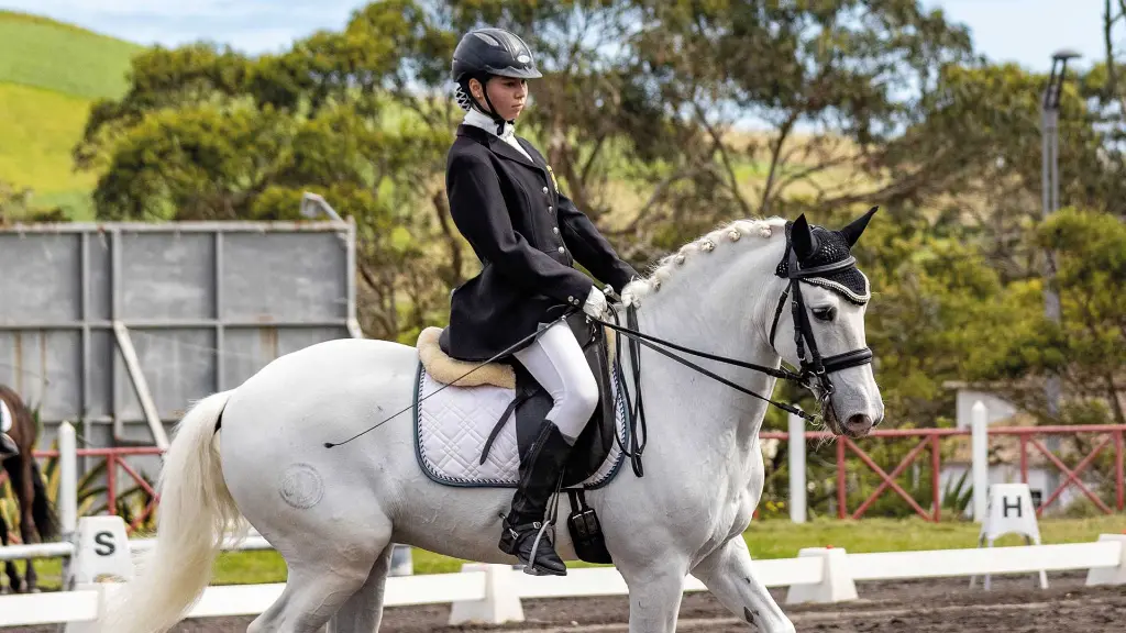 Azoren-Insel São Miguel Dressur-Show mit Lusitano-Pferd