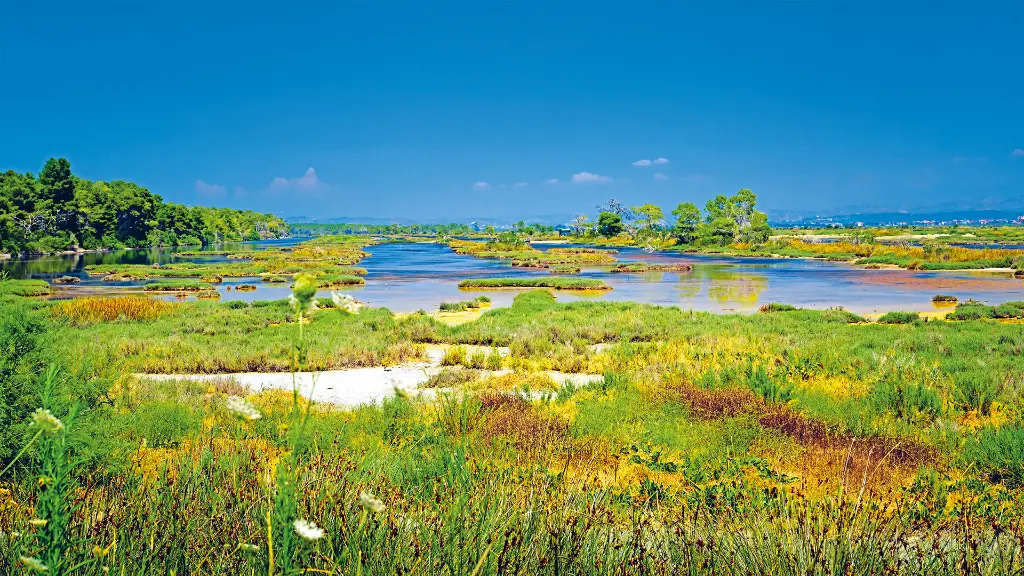 5856_Albanien - Reisedetail Divjaka-Karavasta-Nationalpark
