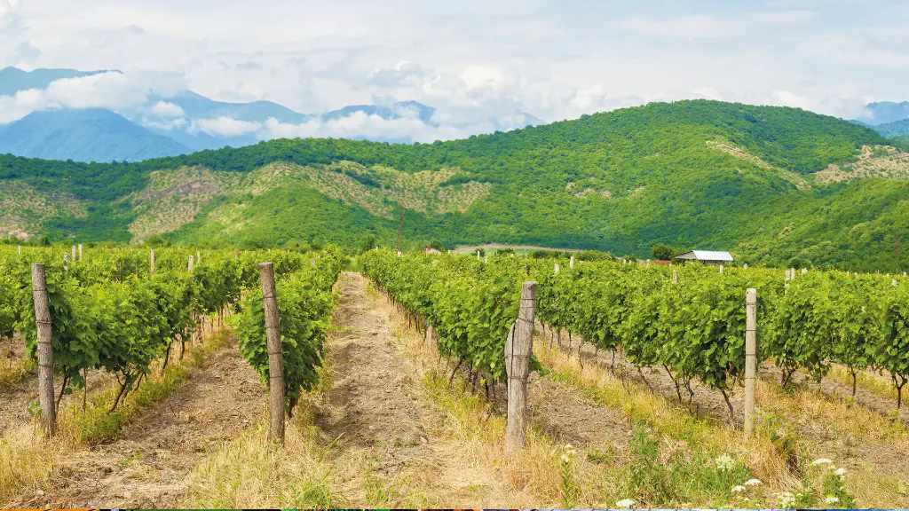 Weinregion Kachetien