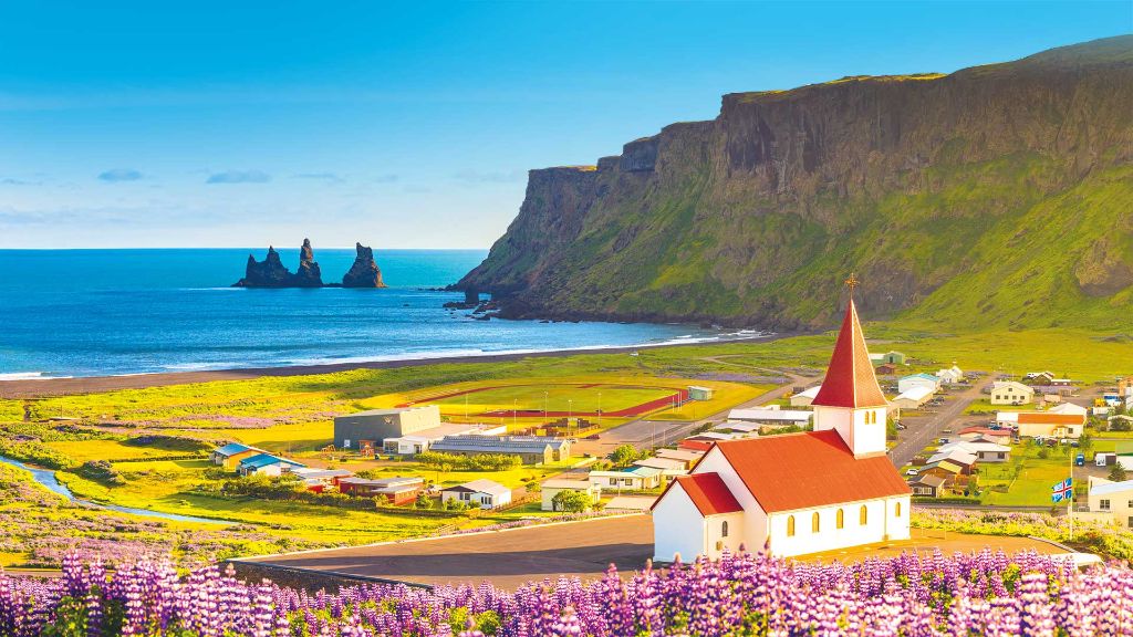 Island Gletcher, Geysire & gastfreundliche Wikinger - Blühende Lupinen in Vik