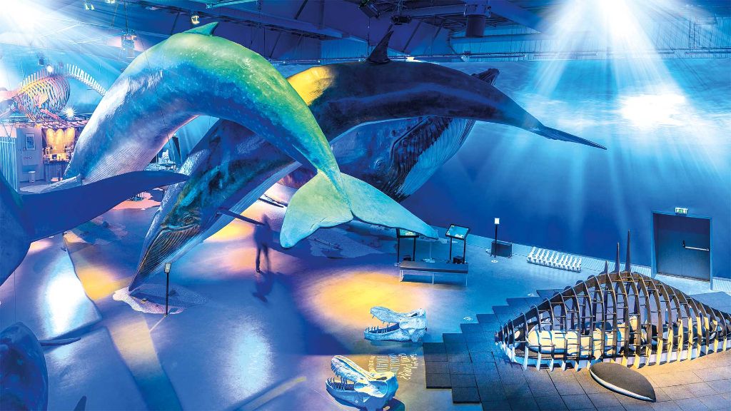 Island Gletcher, Geysire & gastfreundliche Wikinger - Erlebniswelt „Whales of Iceland“
