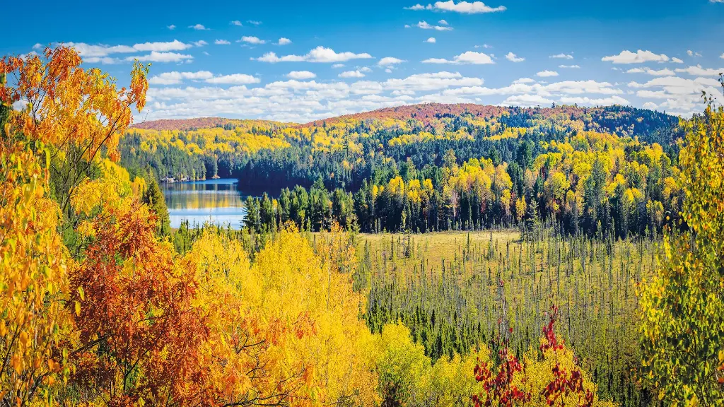 5882_Goldener_Herbst_Kanadas_Osten_Content_Algonquin-Provincial-Park