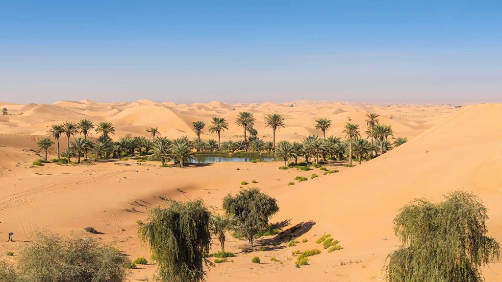 Märchenreiche im Morgenland Oase Remah Wüste