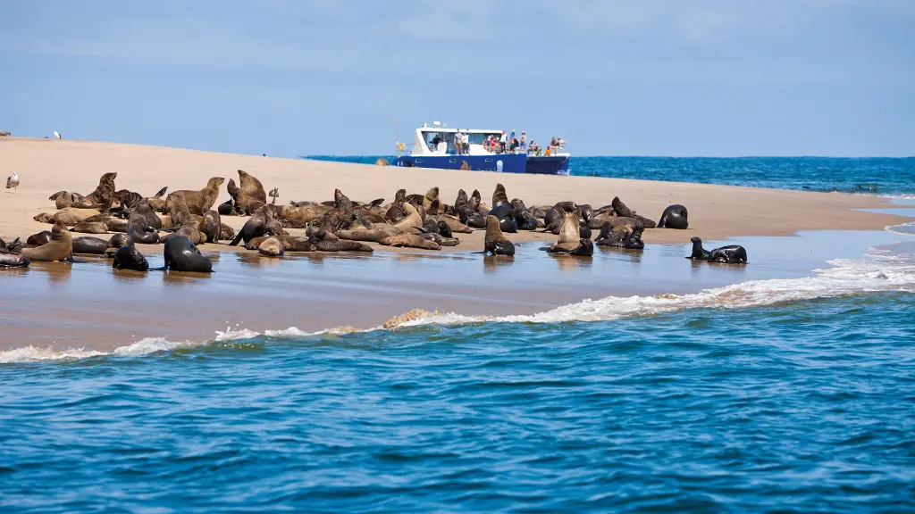 5893-94_Namibia_content_1920x1080px_catamaran_WalvisBay