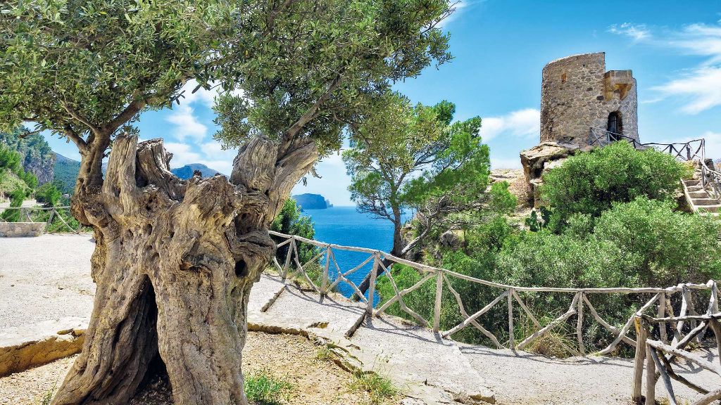 Mallorca zum Verlieben Küstenschönheit bei Banyalbufar
