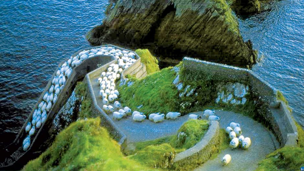 Glanzlichter Irlands - Dingle