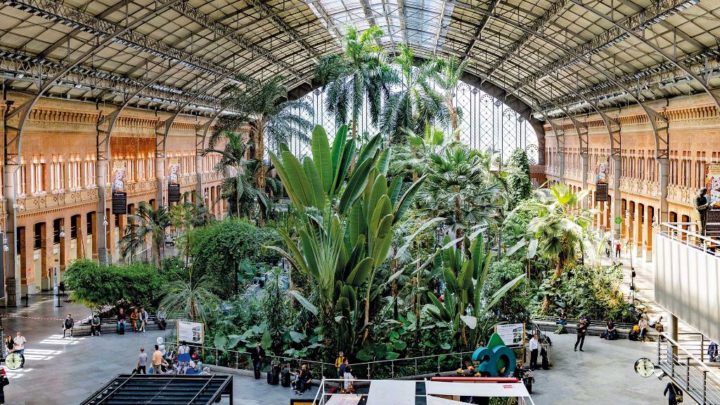 Spanien Städte-Erlebnis Madrid - Tropische Palmen im Bahnhof Atocha