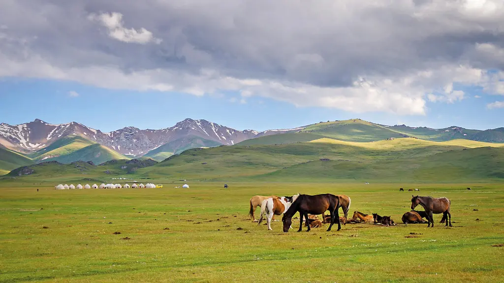 6010-11_schaetze-der-seidenstrasse_nomadischer-lebensstil-der-kirgisen-reisepartner