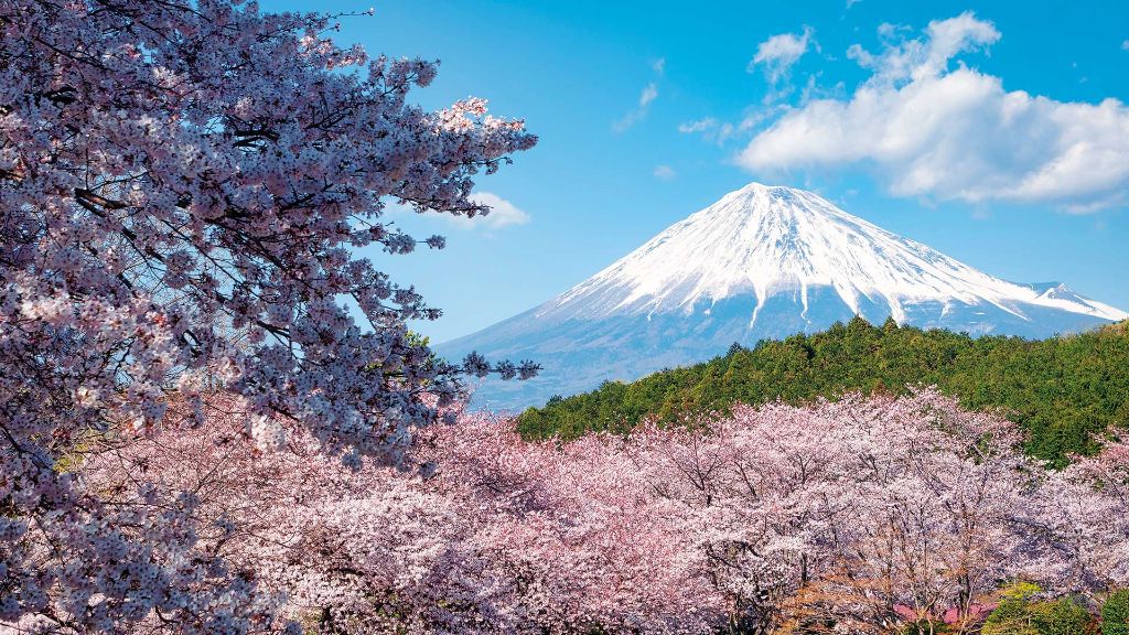 Faszination Japan Der heilige Berg Fuji-san
