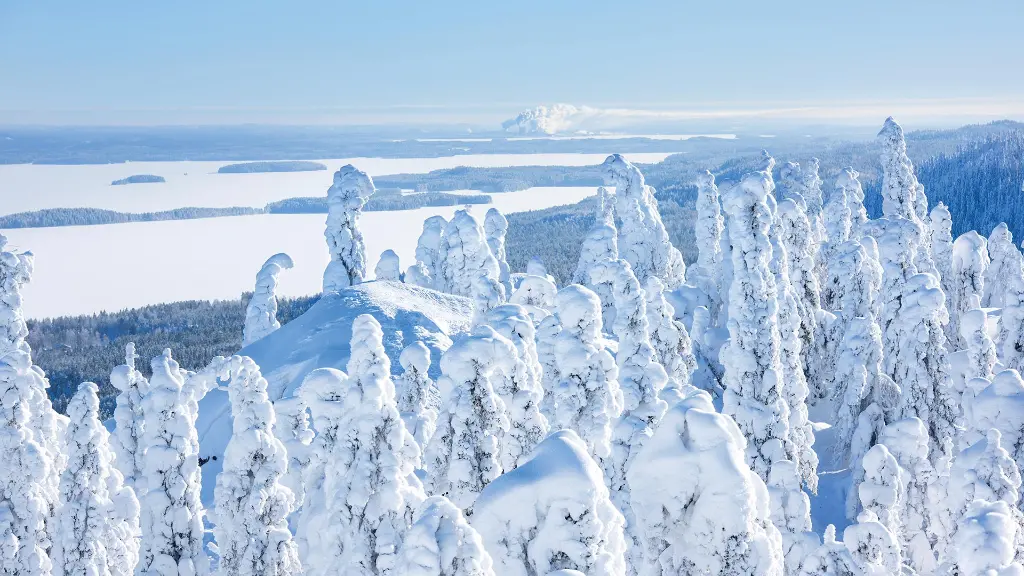Koli-Nationalpark
