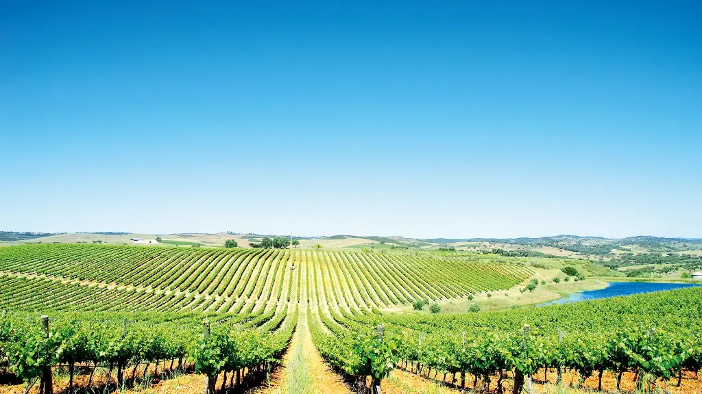 6632-35_glanzlichter-portugals_content_1920x1080px_alentejo-wein