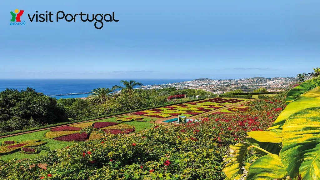 6045_Bluetenzauber-Madeira_content_1920x1080px_titel_wkz