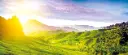 6802-03_Magische-Wunderwelt-Malaysia-und-Singapur_hauptbild_Slider_1262x550px_Titel-placeholder