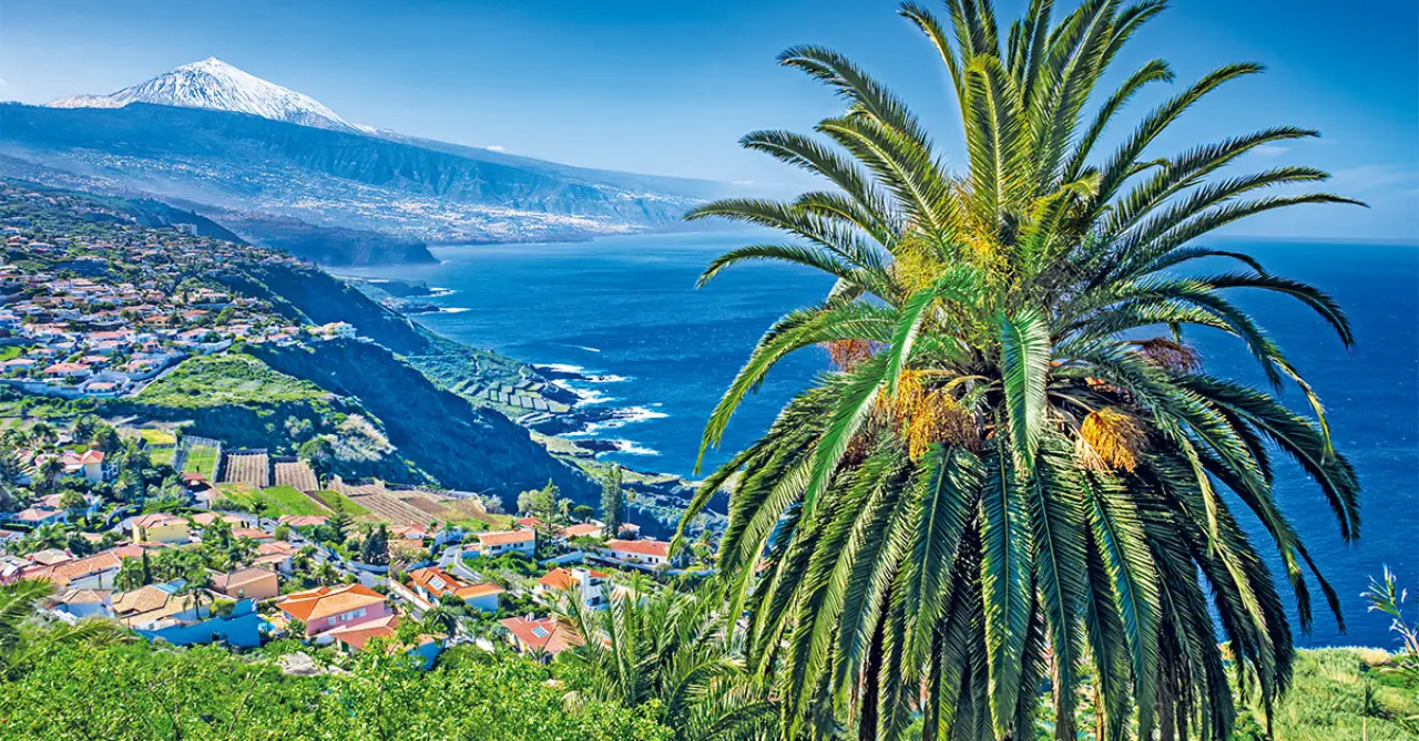 Teneriffa Sud Traumurlaub Oder Ankunfts Albtraum Der Ultimative Guide Zur Ankunft Am Flughafenfeed